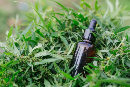 Benefits of Tea Tree Oil for Skin and Hair